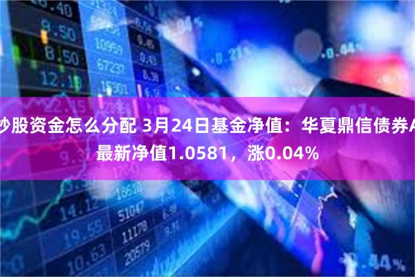 炒股资金怎么分配 3月24日基金净值：华夏鼎信债券A最新净值1.0581，涨0.04%