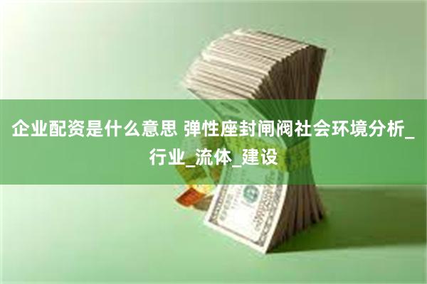 企业配资是什么意思 弹性座封闸阀社会环境分析_行业_流体_建设