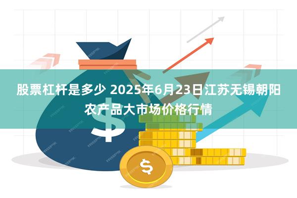 股票杠杆是多少 2025年6月23日江苏无锡朝阳农产品大市场价格行情
