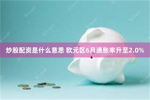 炒股配资是什么意思 欧元区6月通胀率升至2.0%