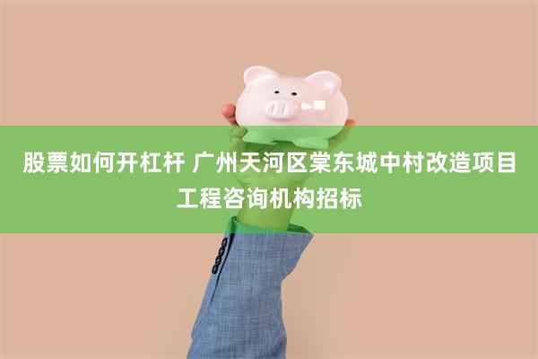 股票如何开杠杆 广州天河区棠东城中村改造项目工程咨询机构招标