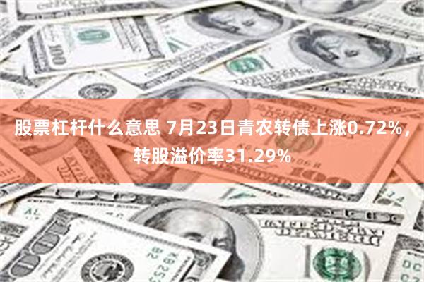 股票杠杆什么意思 7月23日青农转债上涨0.72%，转股溢价率31.29%
