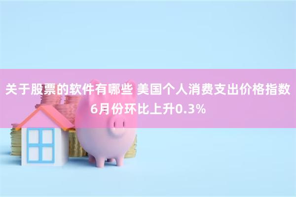 关于股票的软件有哪些 美国个人消费支出价格指数6月份环比上升0.3%